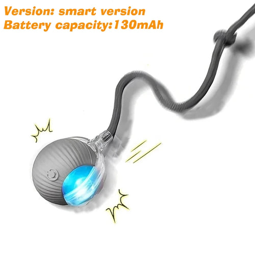 New Dog Interactive Ball Toy,Automatic Rolling Dog Ball Rechargeable,Smart Puppy Interactive Toy,Intelligent Balls Toy for Dogs SUN N.
