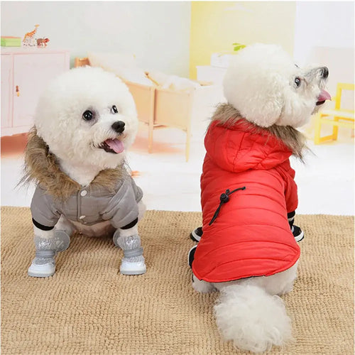 Manteau rembourré à capuche pour petit chien avec fourrure, idéal pour l'hiver et le confort.
