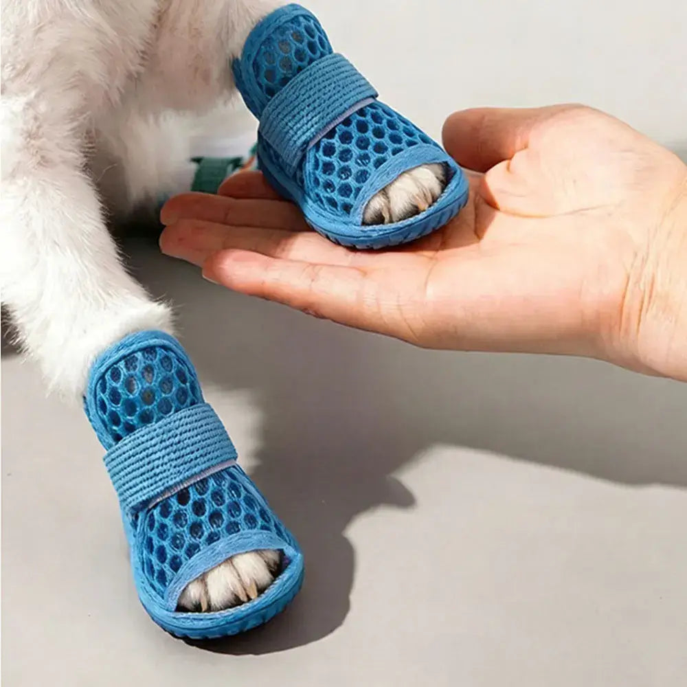Sandales en maille pour chien fournissant confort et fraîcheur, antidérapantes et légères, idéales pour l'été.