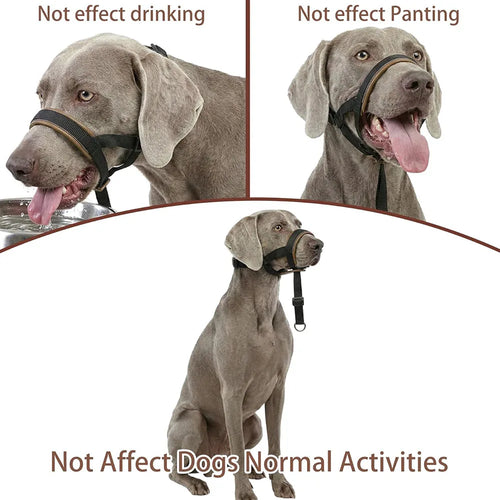 Muselières tactiques réfléchissantes pour chiens de taille moyenne et grande, avec laisse pour l'entraînement anti-aboiement, guide de laisse, couvre-mâchoire pour animaux de compagnie, accessoires pour grands chiens SUN N.