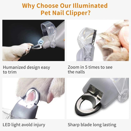 Ciseaux professionnels pour coupe-ongles pour animaux de compagnie, avec lumière LED, pour chat et chien, outil, ciseaux pour couper les griffes des orteils, fournitures pour animaux de compagnie SUN N.