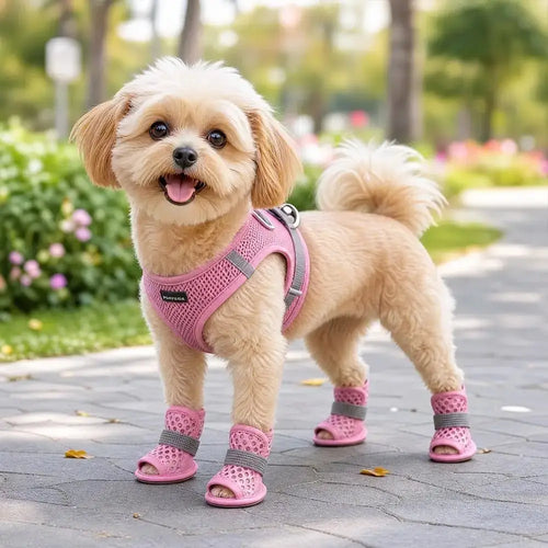 Chaussures en maille pour chien – 4 pièces antidérapantes et respirantes SUN N.