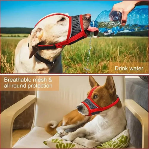 Muselière respirante et réglable pour chien - Masque anti-morsure doux pour la prévention de la mastication et le toilettage (ajustement confortable, boucle sécurisée) SUN N.