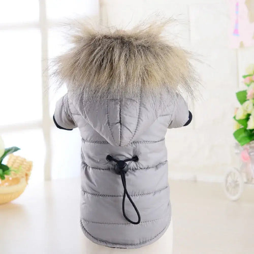 Manteau rembourré à capuche pour petit chien avec fourrure, idéal pour l'hiver et le confort.