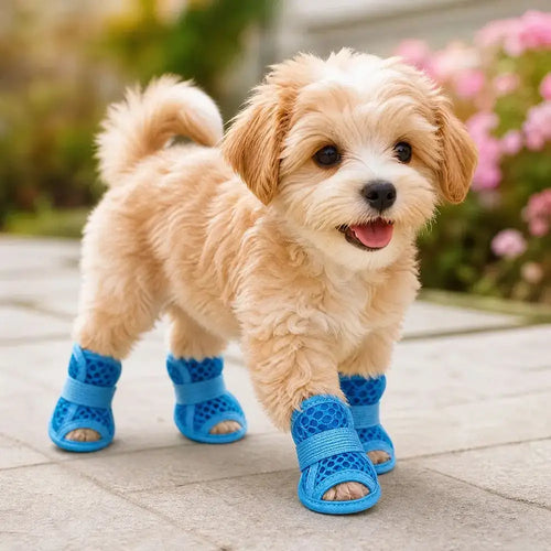 Chaussures en maille pour chien – 4 pièces antidérapantes et respirantes SUN N.