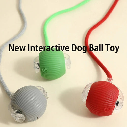 New Dog Interactive Ball Toy,Automatic Rolling Dog Ball Rechargeable,Smart Puppy Interactive Toy,Intelligent Balls Toy for Dogs SUN N.