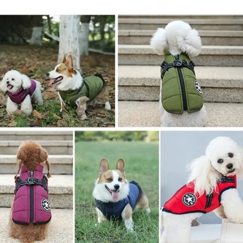 Veste pour chien avec harnais intégré – Manteau hiver chaud et imperméable SUN N.