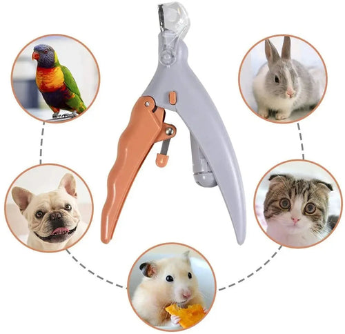 Ciseaux professionnels pour coupe-ongles pour animaux de compagnie, avec lumière LED, pour chat et chien, outil, ciseaux pour couper les griffes des orteils, fournitures pour animaux de compagnie SUN N.