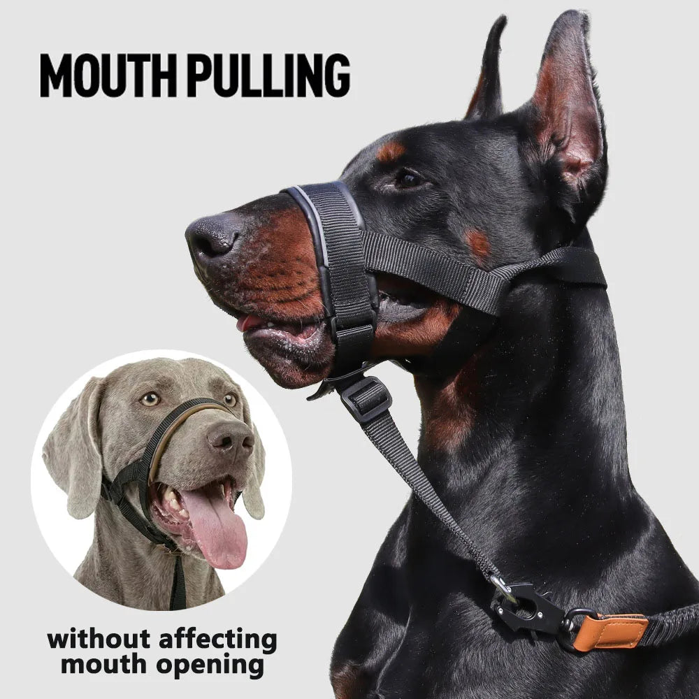 Muselières tactiques réfléchissantes pour chiens de taille moyenne et grande, avec laisse pour l'entraînement anti-aboiement, guide de laisse, couvre-mâchoire pour animaux de compagnie, accessoires pour grands chiens SUN N.