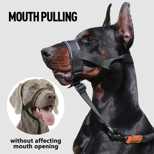 Muselières tactiques réfléchissantes pour chiens de taille moyenne et grande, avec laisse pour l'entraînement anti-aboiement, guide de laisse, couvre-mâchoire pour animaux de compagnie, accessoires pour grands chiens SUN N.