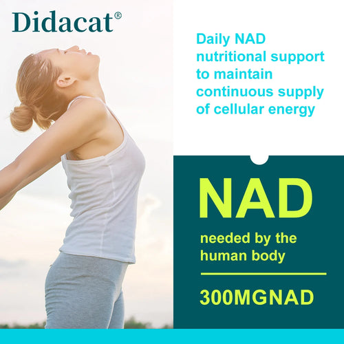 NAD + Resvératrol - Anti-âge, aide à stimuler l'énergie, favorise la santé des cellules et de la peau, la neuroprotection et l'amélioration du sommeil SUN N.
