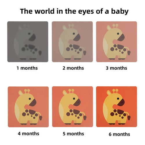 Cartes Flash Bébé Noir et Blanc – Stimulation Visuelle Éducative SUN N.