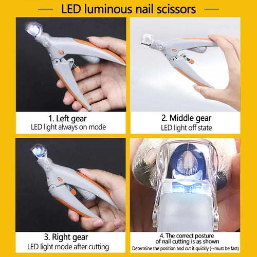 Ciseaux professionnels pour coupe-ongles pour animaux de compagnie, avec lumière LED, pour chat et chien, outil, ciseaux pour couper les griffes des orteils, fournitures pour animaux de compagnie SUN N.