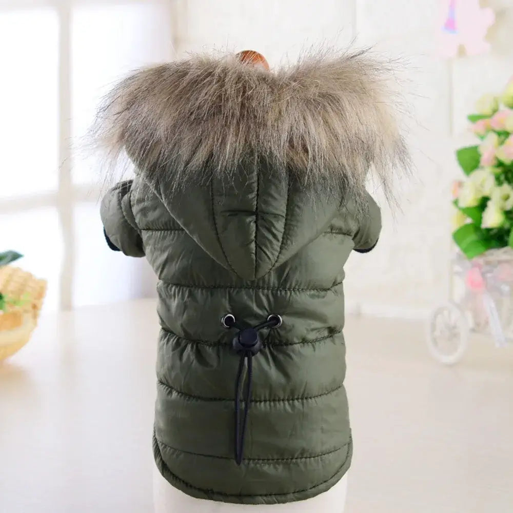 Manteau rembourré à capuche pour petit chien avec fourrure, idéal pour l'hiver et le confort.