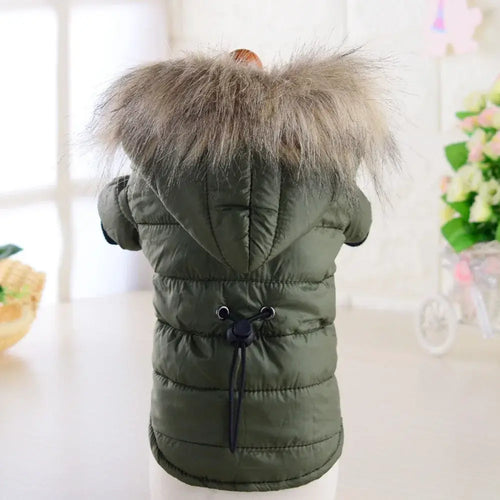 Manteau rembourré à capuche pour petit chien avec fourrure, idéal pour l'hiver et le confort.