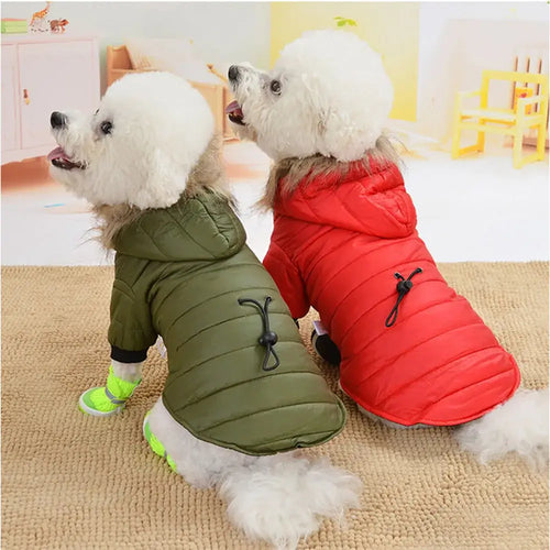 Manteau rembourré à capuche pour petit chien avec fourrure, idéal pour l'hiver et le confort.