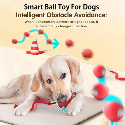 New Dog Interactive Ball Toy,Automatic Rolling Dog Ball Rechargeable,Smart Puppy Interactive Toy,Intelligent Balls Toy for Dogs SUN N.