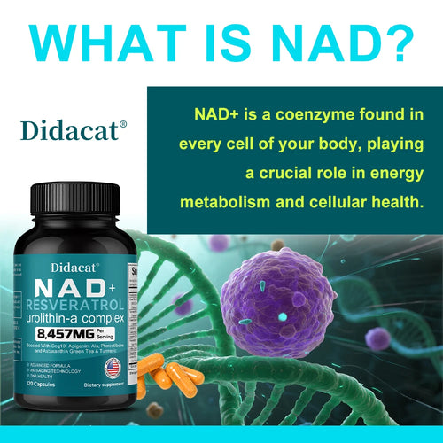 NAD + Resvératrol - Anti-âge, aide à stimuler l'énergie, favorise la santé des cellules et de la peau, la neuroprotection et l'amélioration du sommeil SUN N.