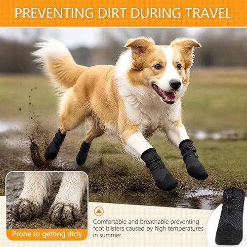 Bottes d'été pour chien – Antidérapantes, respirantes et résistantes à la chaleur SUN N.