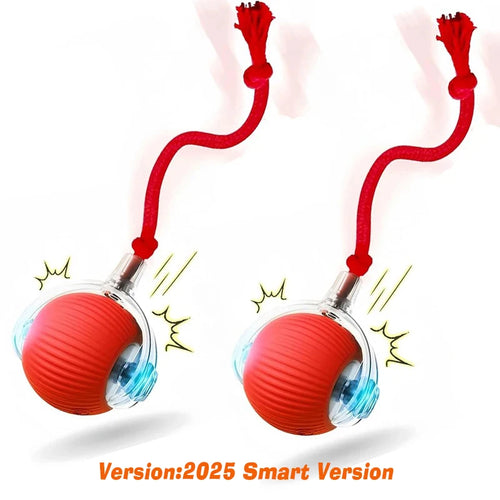 New Dog Interactive Ball Toy,Automatic Rolling Dog Ball Rechargeable,Smart Puppy Interactive Toy,Intelligent Balls Toy for Dogs SUN N.