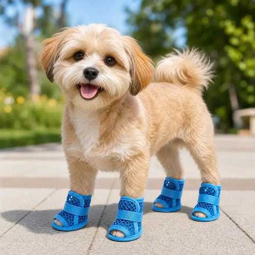 Chaussures en maille pour chien – 4 pièces antidérapantes et respirantes SUN N.