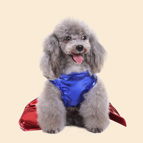 Costume de super-héros pour chien avec cape - Bleu et rouge pour petites races SUN N.