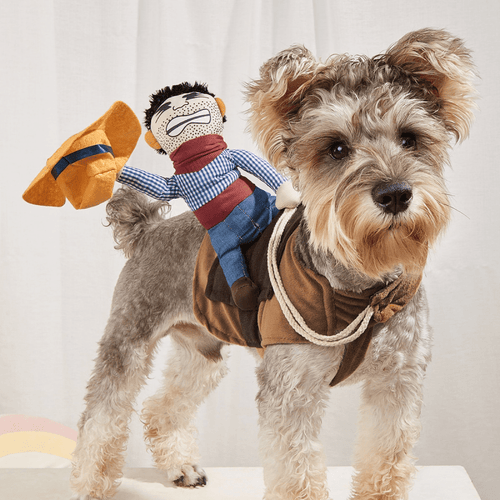 Déguisement drôle de cowboy cavalier pour chiens et chats - Costume Halloween pour animaux