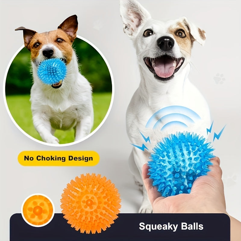 Lot de 2 balles épineuses avec couineur pour chiens - Jouet durable SUN N.