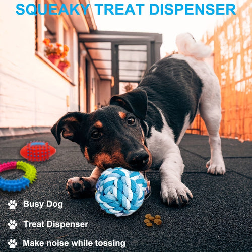 Lot de 17 jouets pour chiots - Jouets à mâcher et balle interactive SUN N.