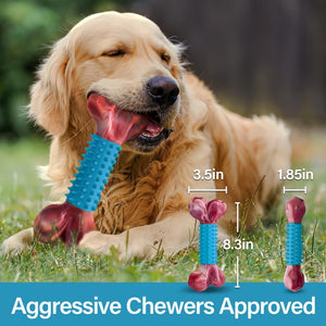 Jouets à mâcher pour chiens moyens - Mâcheurs agressifs et dentition SUN N.