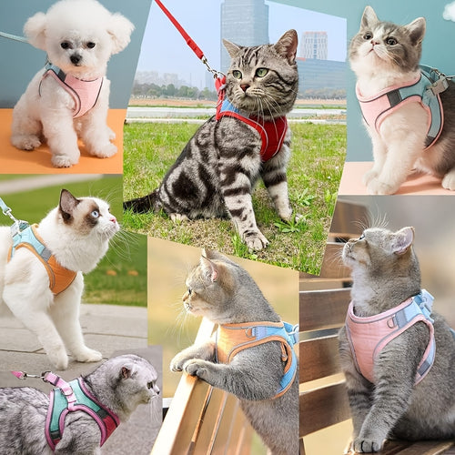 Harnais pour chat anti-évasion avec laisse réglable - Sécurité et confort pour promenades