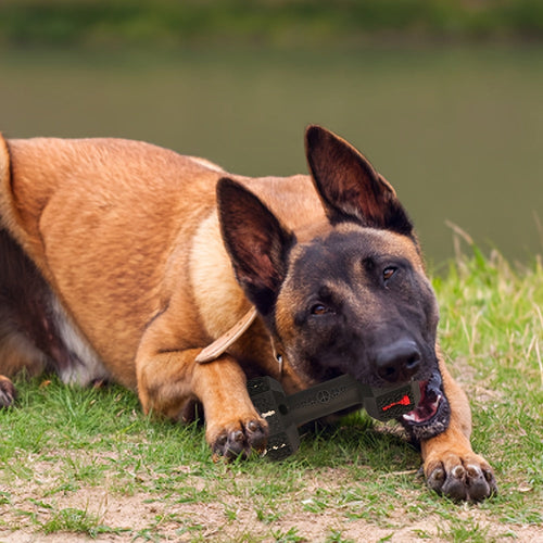 Jouets à mâcher indestructibles pour chiens mâcheurs agressifs SUN N.
